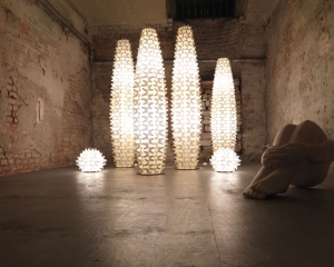 Cactus in Entratalibera